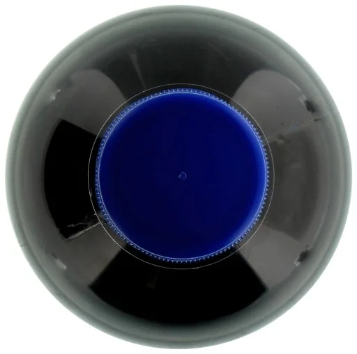 Imagen 65 de Pepsi Refresco Cola 600 ml