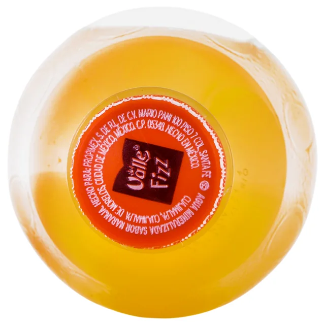 Imagen 16 de Del Valle Agua Mineralizada Con 1% de Naranja 600 ml